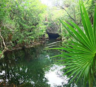 Ausblick auf 1 von 3 Cenoten
