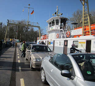 Die Rheinfähre Leimersheim