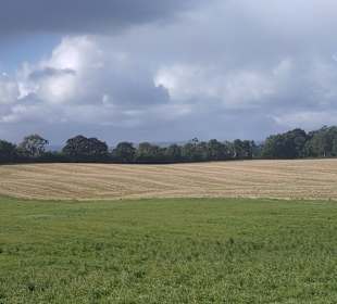 Landschaft bei "The Dark Hedges"