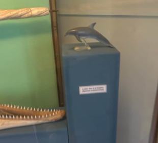 Naturhistorisches Museum