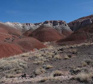 Painted Desert _вид27