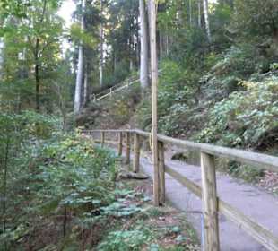 Triberger Wasserfälle