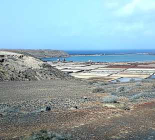 Inselrundfahrt AIDA Tagestour