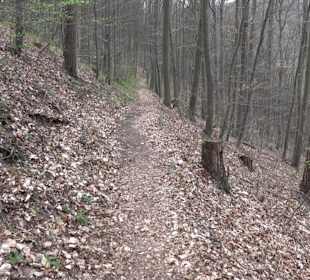 Wanderung rund um das Rusenschloss Gerhausen