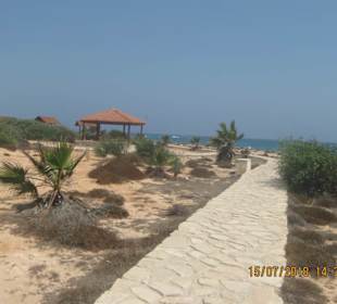 Wanderweg zum grillen platz