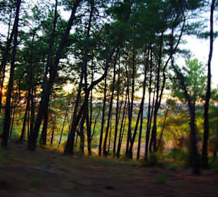 Sulahikulle - Vergessene Stadt