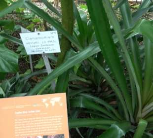 Tropicarium