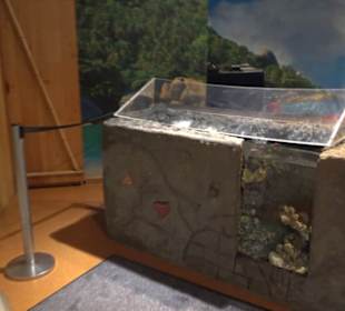  Lego X-Treme - Legoland Atlantis by SEA LIFE