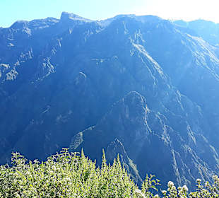 Colca-Canyon