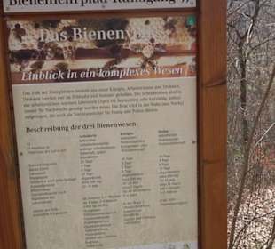 Bienenlehrpfad