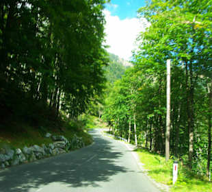 Neue Übergangsstrasse 