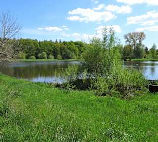 Impressionen vom Rundgang um den Klostersee