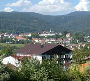 Bei unseren Spaziergängen in / bei Bodenmais