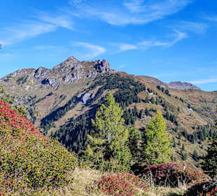 Wandern Dorfgastein