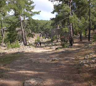 Weg zur Ruine