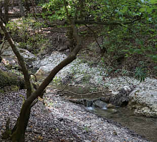 Peta Loudhes / Tal der Schmetterlinge