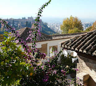 Dettaglio del giardino