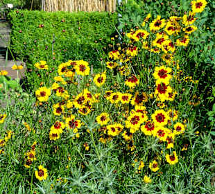 Rundgang durch den Botanischen Garten Oldenburg