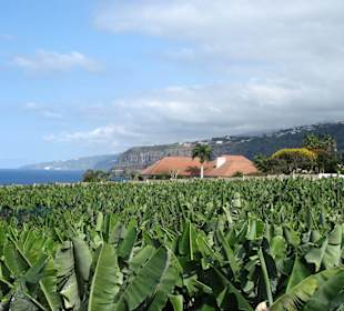Auf dem Weg zum Bollullo-Strand