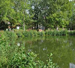 Rundgang durch den Edgar-Deichmann-Park