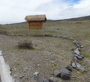 Halt für Pflanzenerklärung
