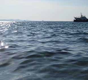 Yachten