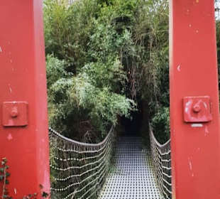 Chinesische Hängebrücke