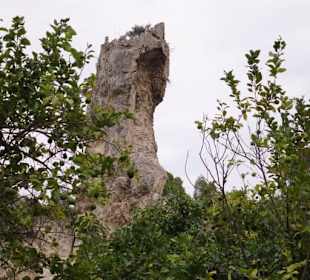 Beobachtungskanzel
