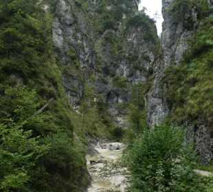 Beeindruckende Wanderung durch die Almbachklamm