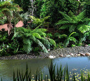 Raffeiner Orchideenwelt