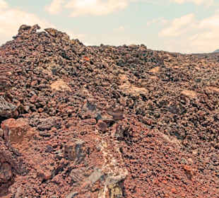 Später wird die Lava von Bewuchs überzogen