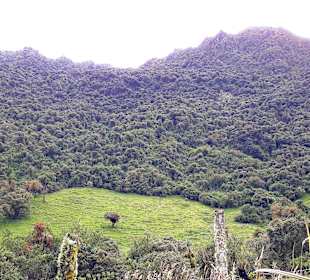 Rundweg „La Isla“ Path