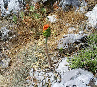 Dikti Tropfsteinhöhle