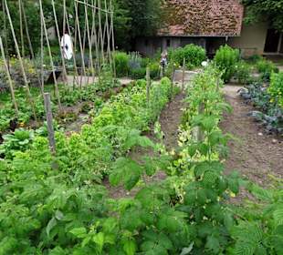 Impressionen aus dem Garten des Bauernmuseums