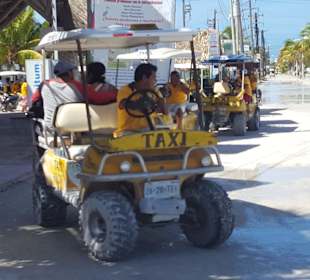 Haupttransportmittel