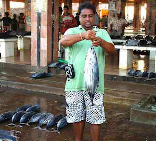 Fischmarkt in Negombo