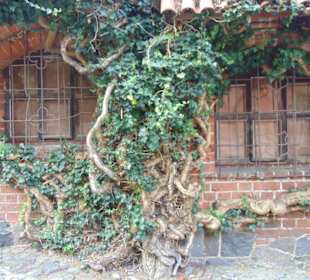 Malbork Castle/ Marienburg