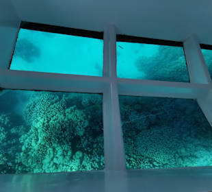 Schnorcheln Makadi Bay