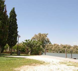 О. Торчелло