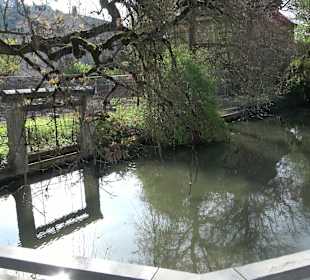 Stadtrundgang Blaubeuren