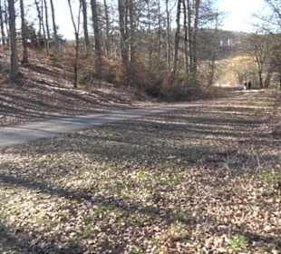 Burgruine Hohenstein