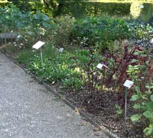 Botanischer Garten München