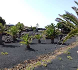 Fundacion Cesar Manrique in Tahiche