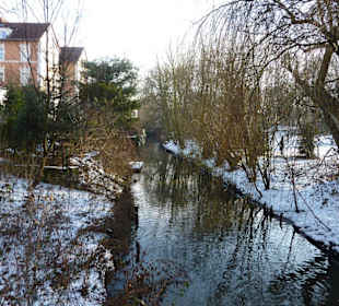 Inselwallpark im Winter