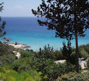 Unterwegs mit dem Rad