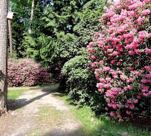 Impressionen vom Rundweg durch den Park