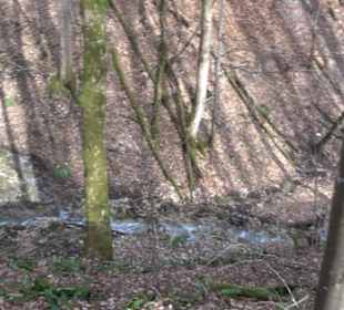 Gütersteiner Wasserfall
