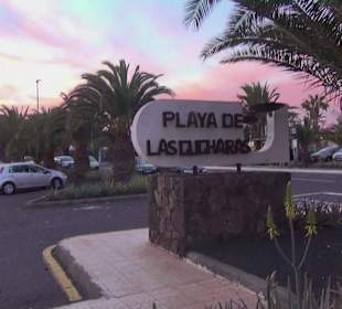 Playa de las Cucharas 