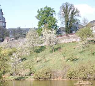 Schloss Berlebeburg Schlossgarten