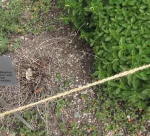 FIFA World Football Museum